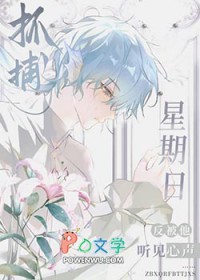 [����] ץ�������շ�������������