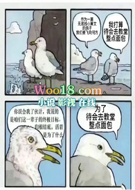 �����á�ȥ�����������
