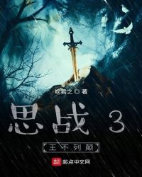˼ս3�����е�