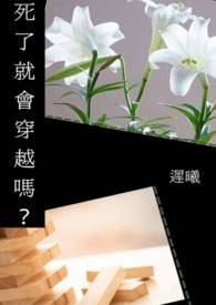 ���˾ͻᴩԽ��