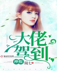 ������мݵ�